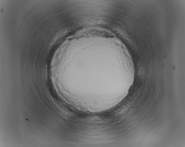 X0000072970685200608211322