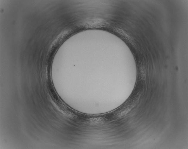 X0000072970686200608211322