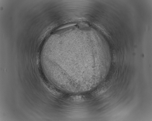 X0000072970687200608211322