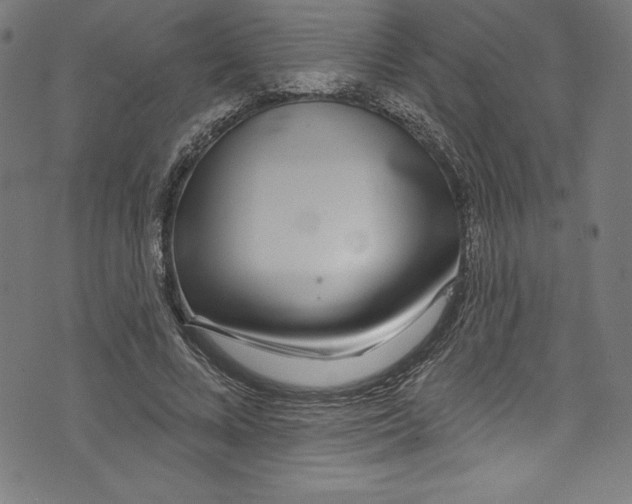 X0000072970688200608211322