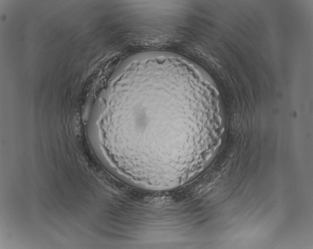 X0000072970689200608211322