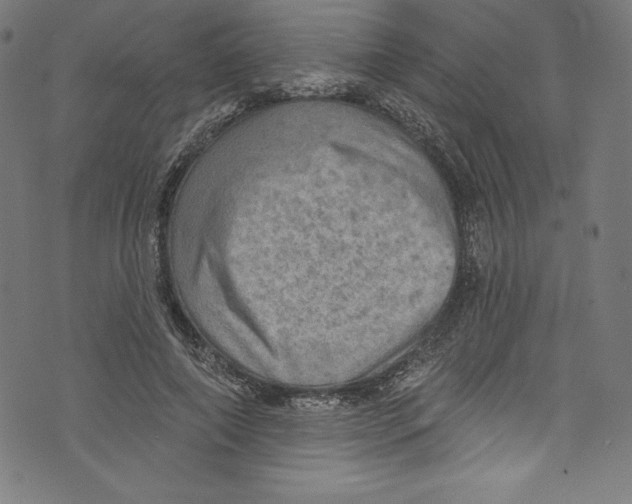 X0000072970690200608211322