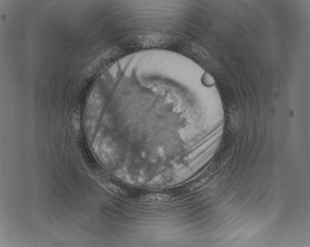 X0000072970691200608211322