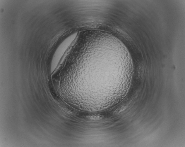 X0000072970693200608211322