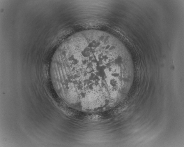 X0000072970695200608211322