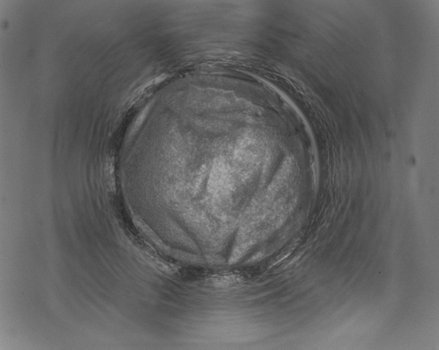 X0000072970696200608211322