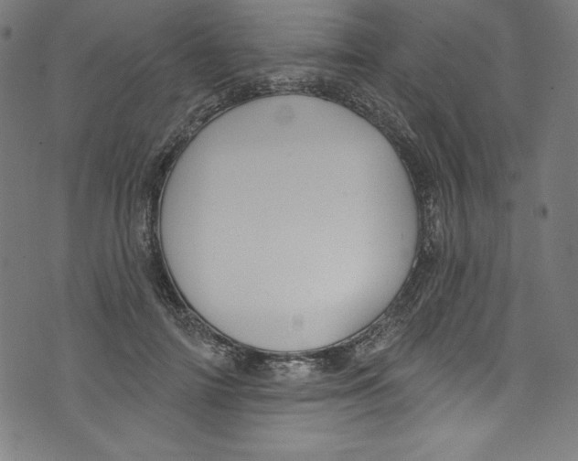 X0000072970698200608211322