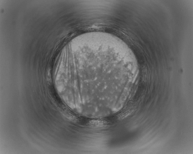 X0000072970699200608211322