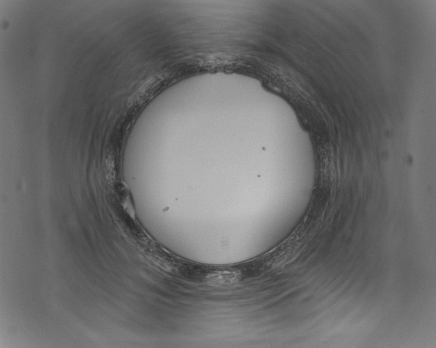 X0000072970700200608211322