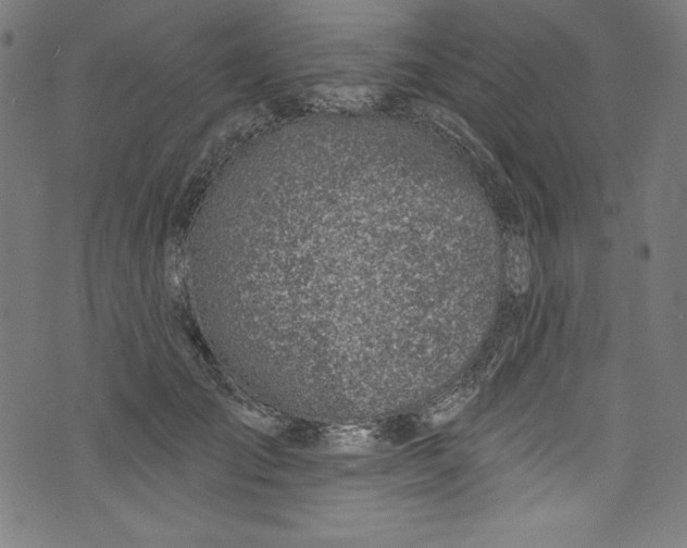 X0000072970701200608211322