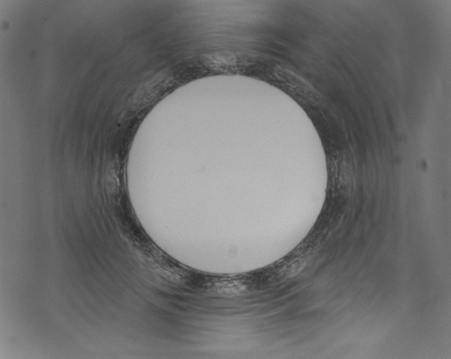 X0000072970702200608211322