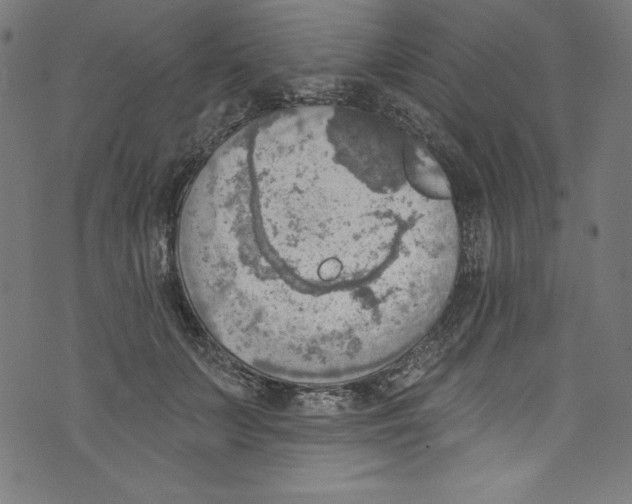 X0000072970703200608211322