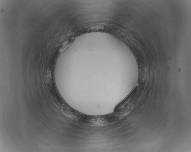 X0000072970704200608211322