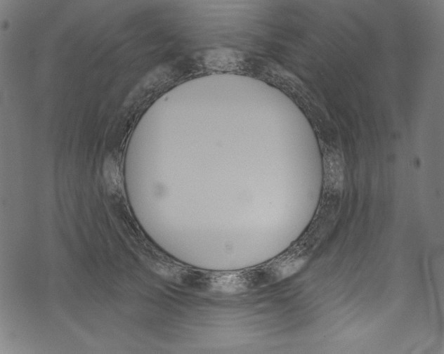 X0000072970705200608211322