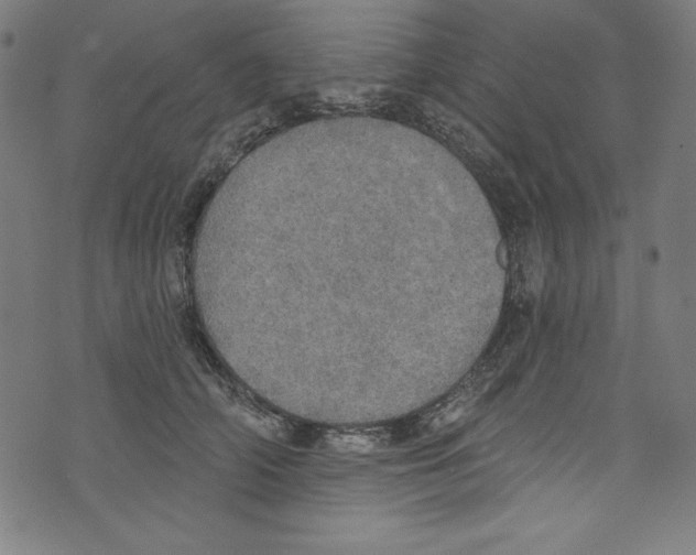 X0000072970706200608211322