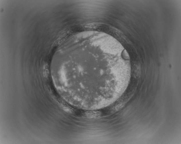 X0000072970707200608211322