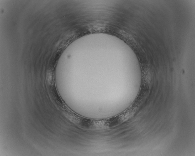 X0000072970709200608211322