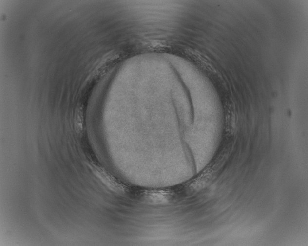 X0000072970710200608211322