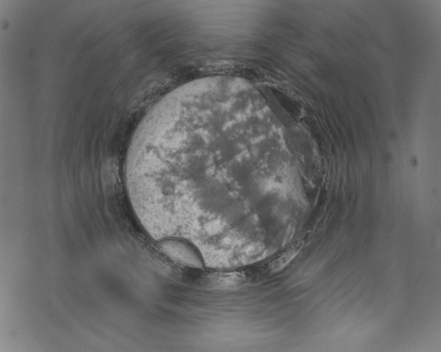 X0000072970711200608211322