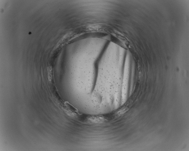 X0000072970712200608211322