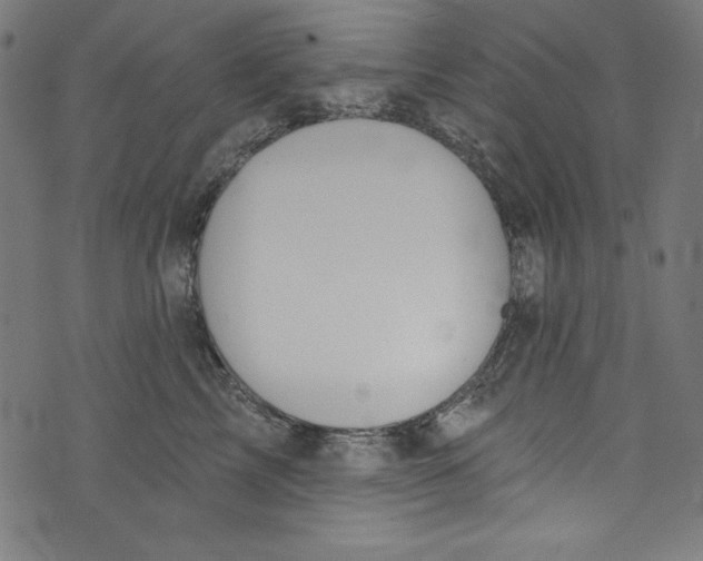 X0000072970713200608211322