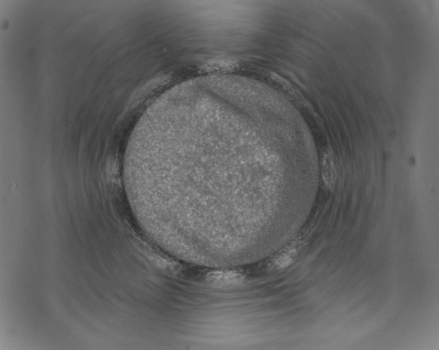 X0000072970714200608211322