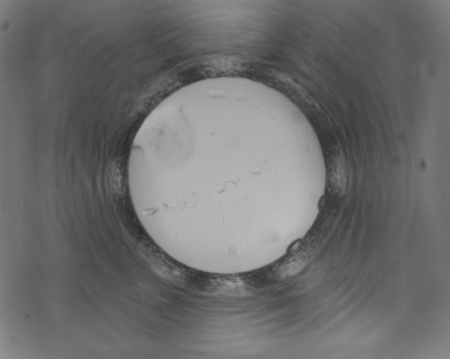 X0000072970715200608211322