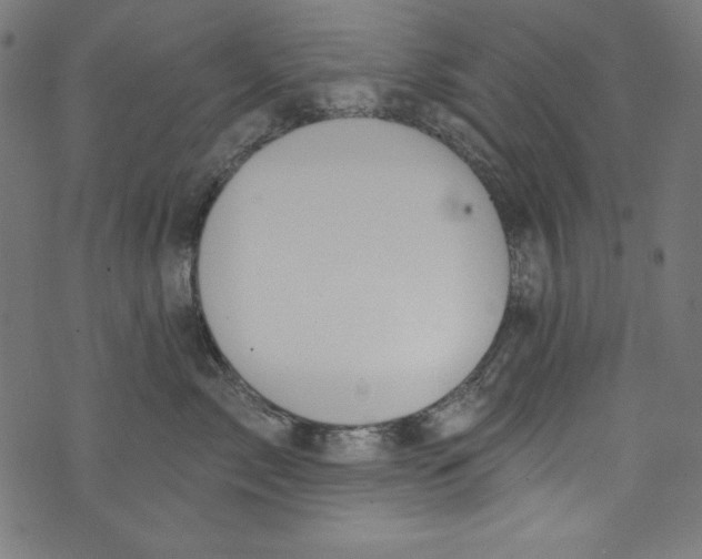 X0000072970717200608211322