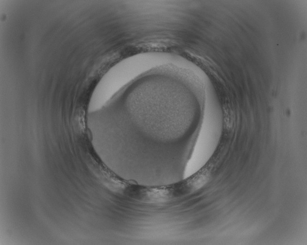 X0000072970718200608211322