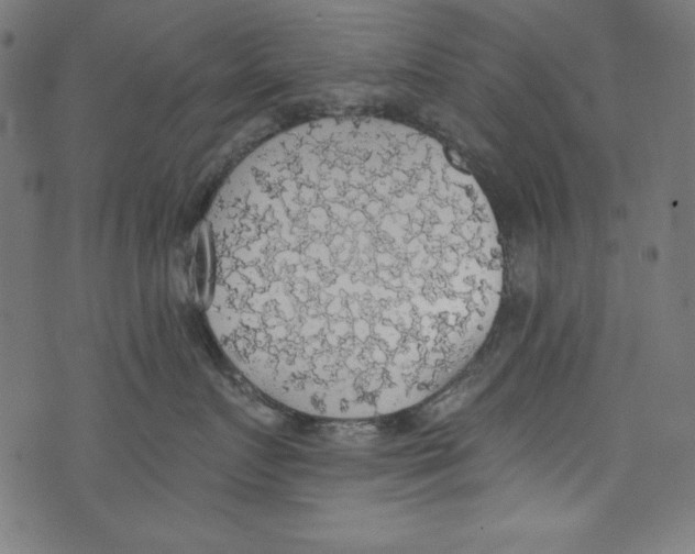 X0000072970719200608211322