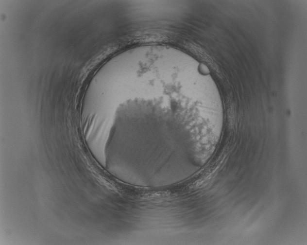 X0000072970721200608211321