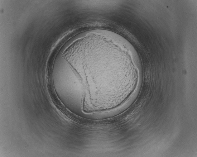 X0000072970722200608211321