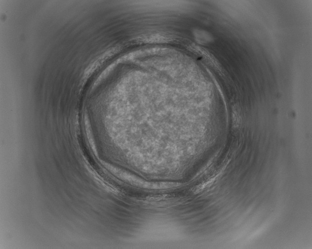 X0000072970725200608211321