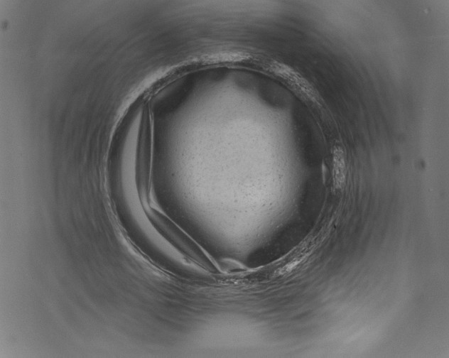 X0000072970726200608211321