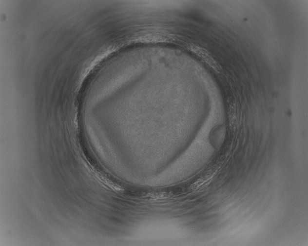 X0000072970727200608211321