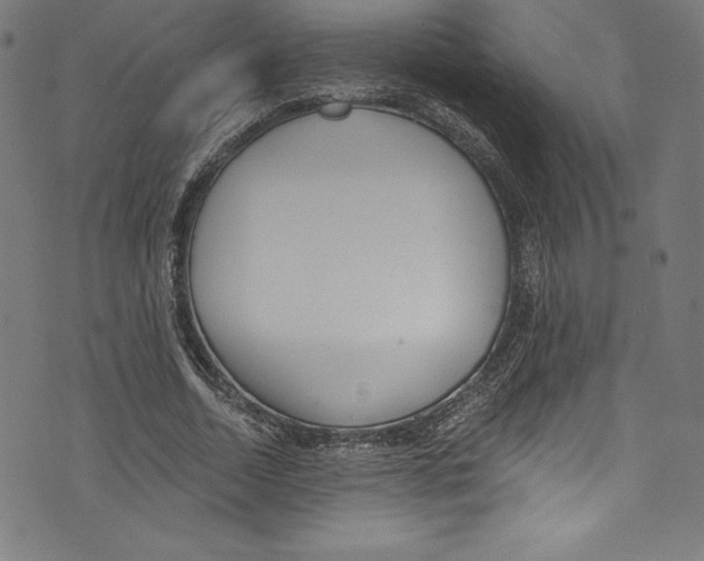 X0000072970730200608211321