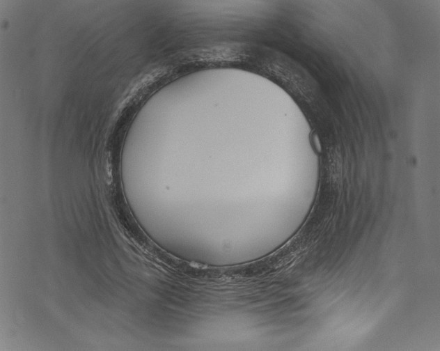 X0000072970731200608211321