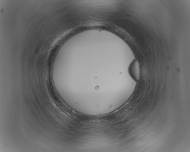 X0000072970732200608211321