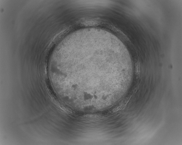 X0000072970733200608211321