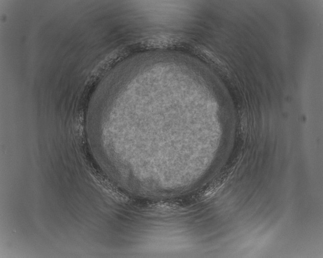 X0000072970737200608211321