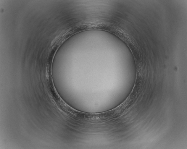 X0000072970740200608211321