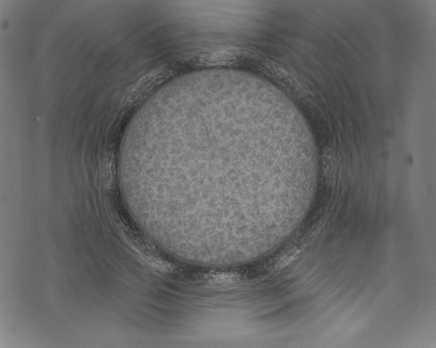 X0000072970741200608211321