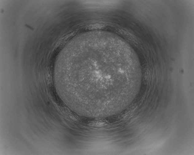 X0000072970743200608211321