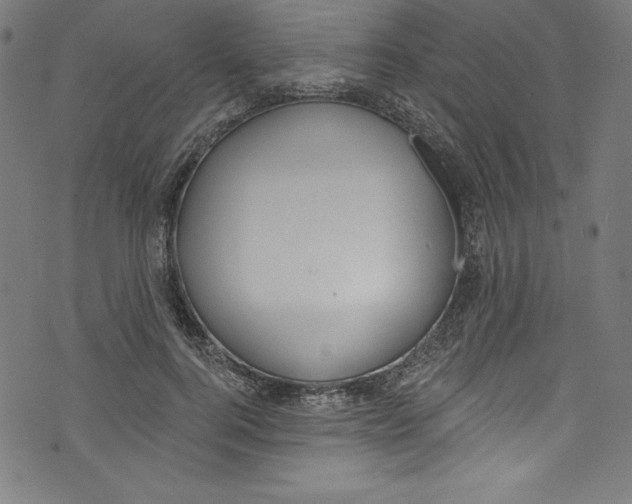 X0000072970744200608211321