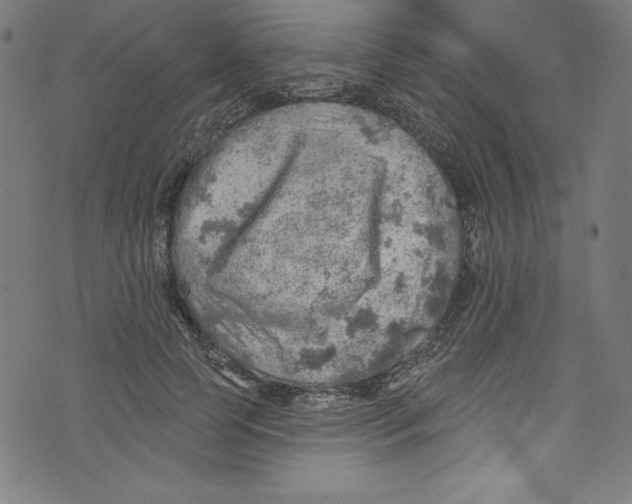 X0000072970745200608211321