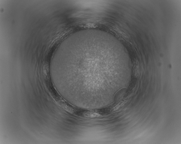 X0000072970747200608211321