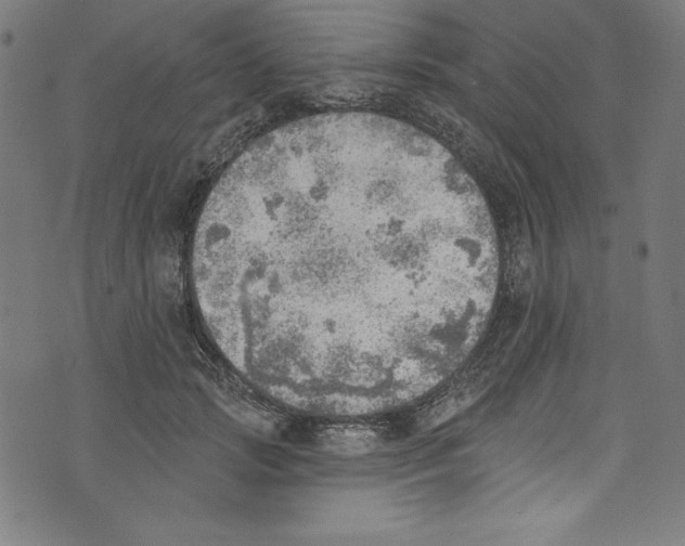 X0000072970749200608211321