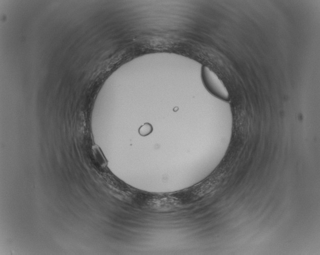 X0000072970752200608211321