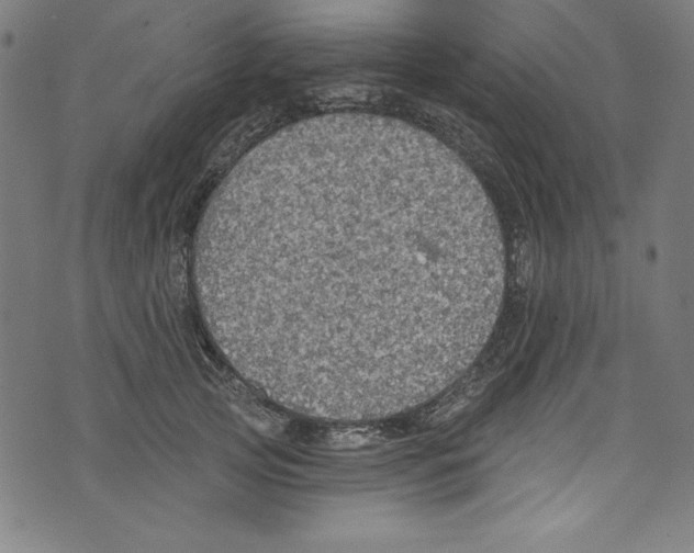 X0000072970753200608211321