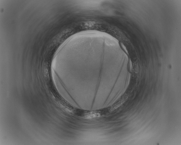 X0000072970754200608211321